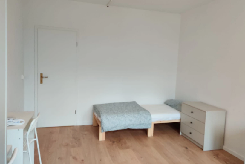 Tauchaer Str. 3 4 Room Apartment - private room